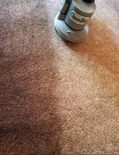 carpet cleaning results in Tipton IN